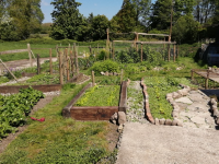 Permaculture